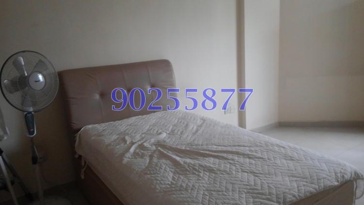 Blk 11 Farrer Park Road (Kallang/Whampoa), HDB 5 Rooms #128932742